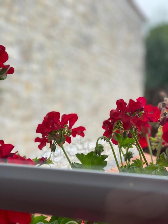 Le Vieux Moulin Bed & Breakfast Bouhet Екстериор снимка